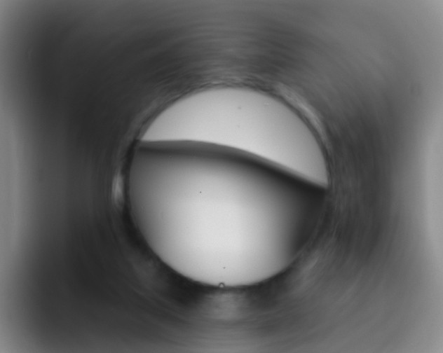 X0000093110067200709260953