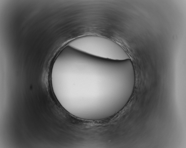 X0000093110098200709260953