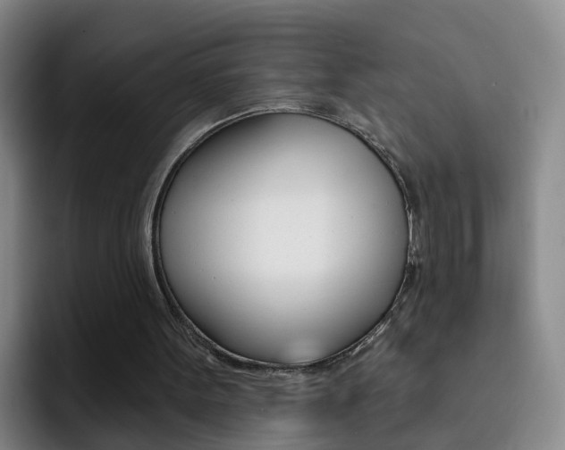 X0000093110099200709260953
