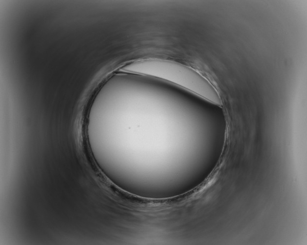 X0000093110101200709260953