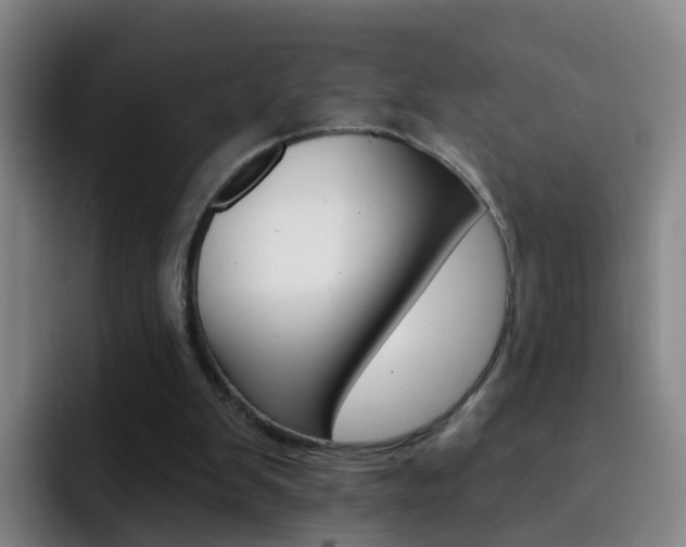X0000093110103200709260953