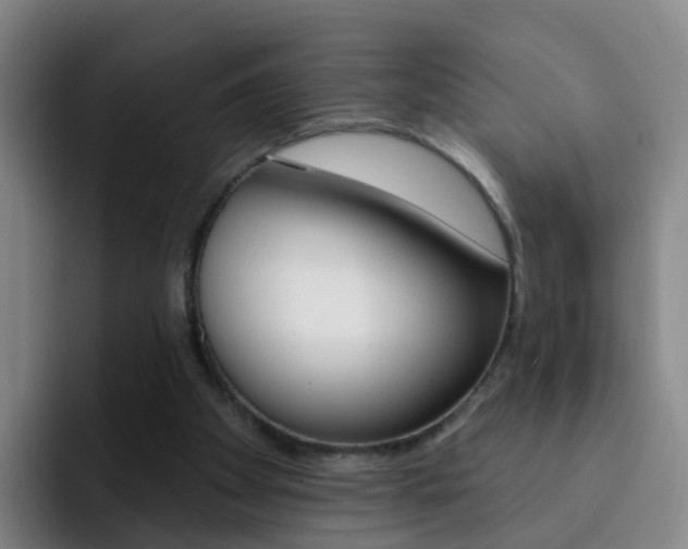 X0000093110105200709260953