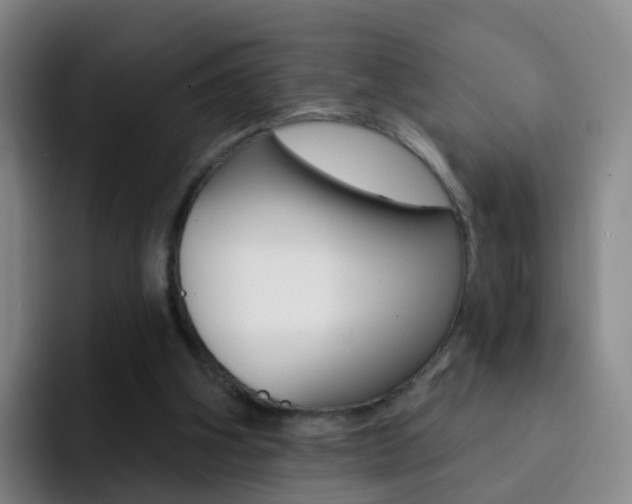 X0000093110106200709260953