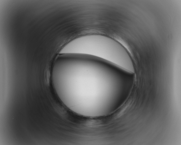 X0000093110109200709260953