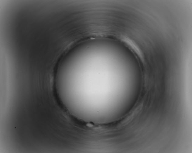 X0000093110113200709260953