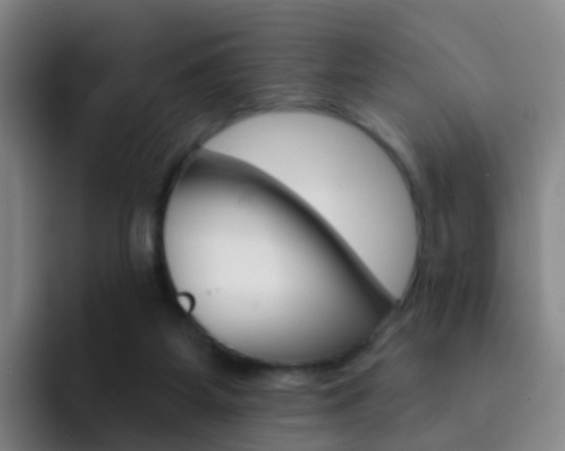 X0000093110115200709260953