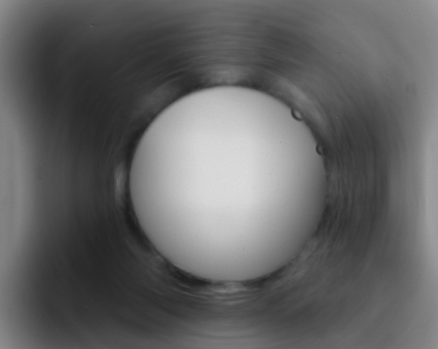 X0000093110118200709260953