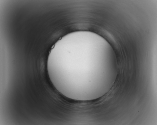 X0000093110120200709260953