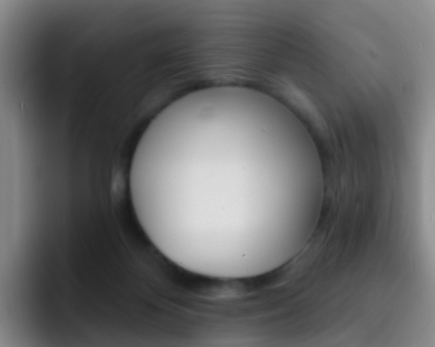 X0000093110124200709260953