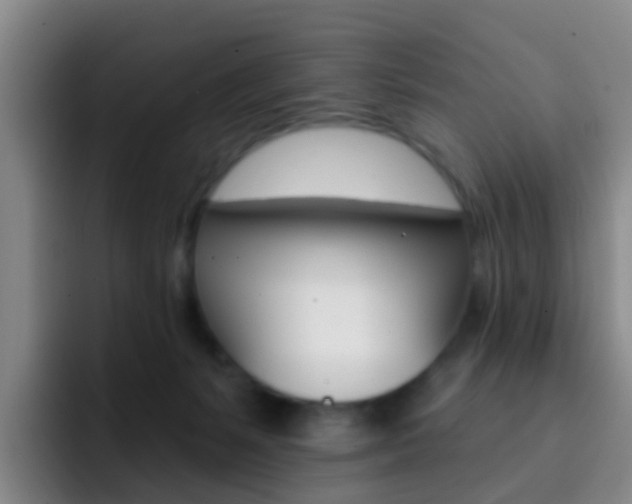 X0000093110127200709260953