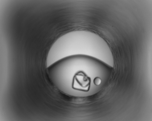 X0000093110129200709260953
