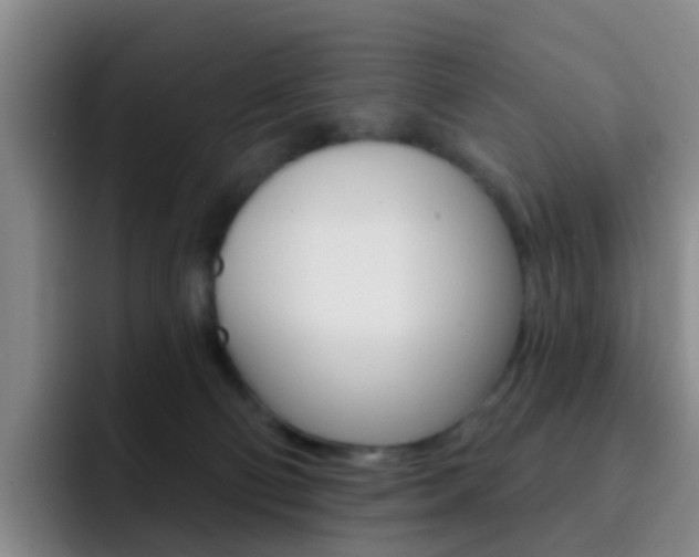 X0000093110130200709260953
