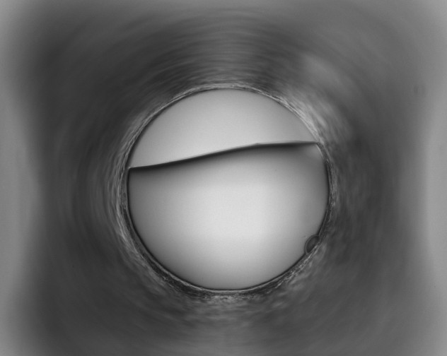 X0000093110145200709260952