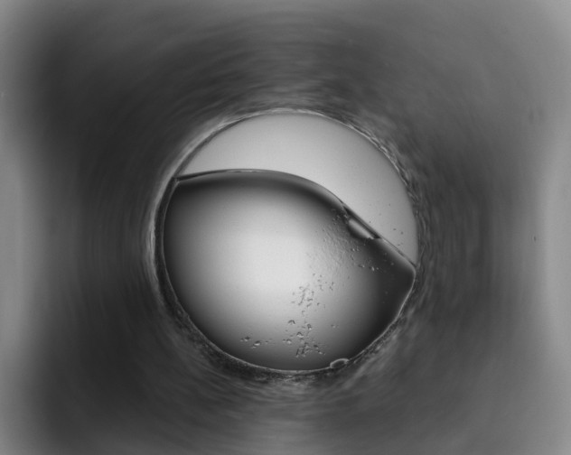 X0000093110148200709260952