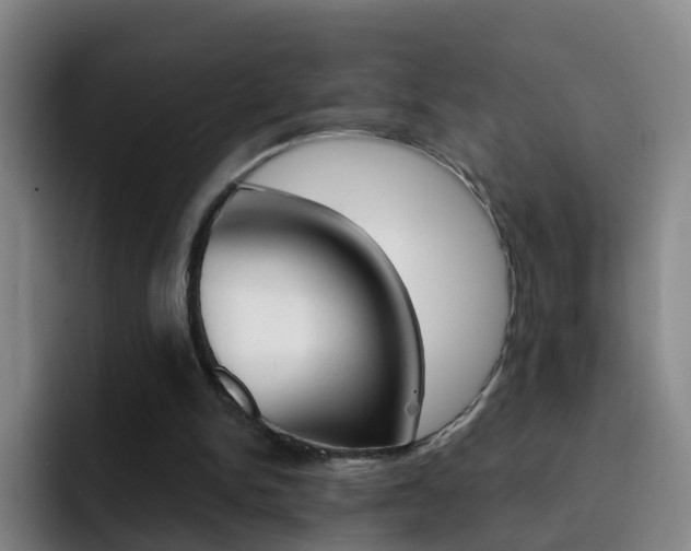 X0000093110150200709260952