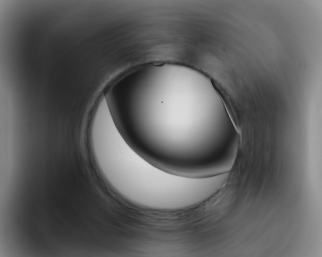 X0000093110156200709260952