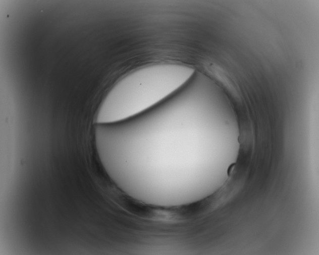 X0000093110167200709260952