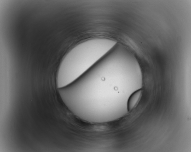 X0000093110169200709260952