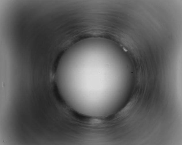 X0000093110176200709260952