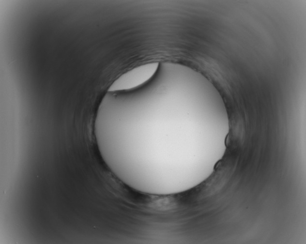 X0000093110185200709260952