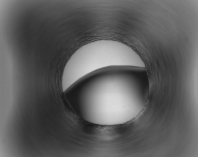 X0000093110186200709260952