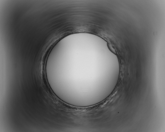 X0000093110194200709260952