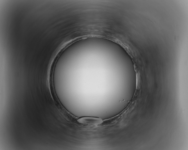 X0000093110195200709260952