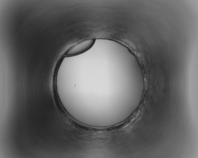 X0000093110196200709260952