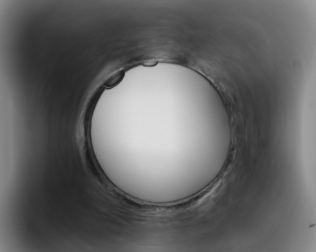 X0000093110198200709260952