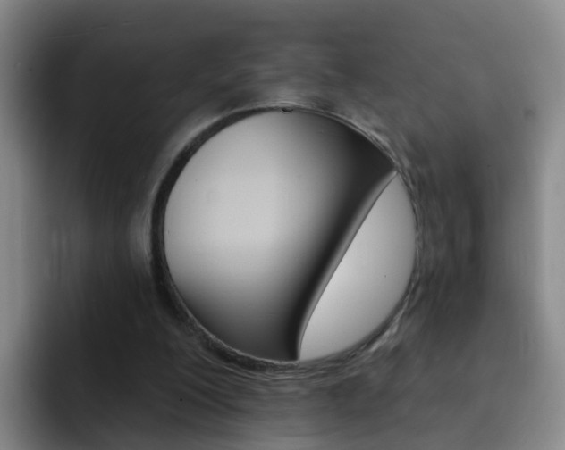X0000093110200200709260952
