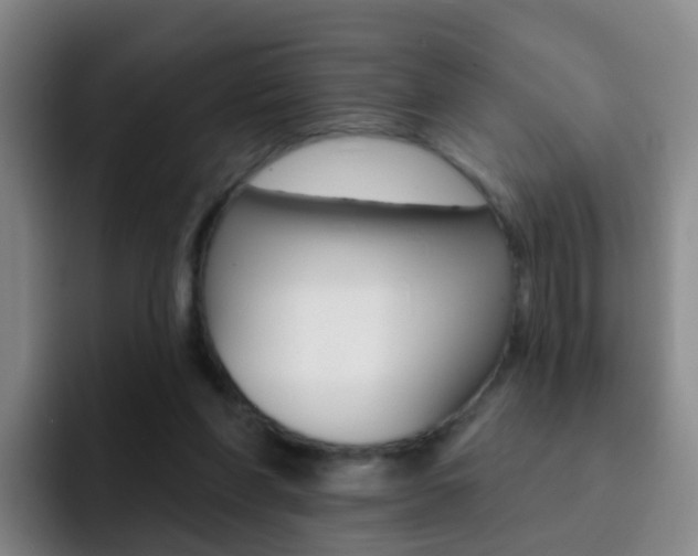 X0000093110206200709260952