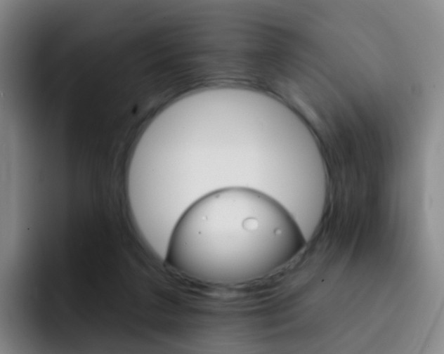X0000093110211200709260952