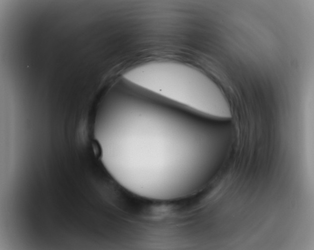 X0000093110216200709260952