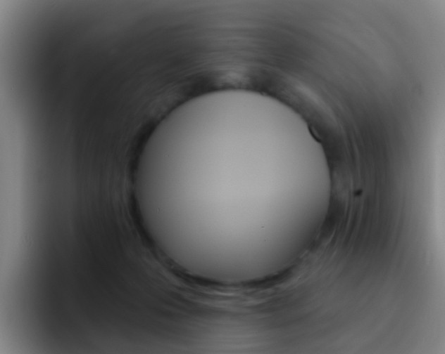 X0000093110223200709260951