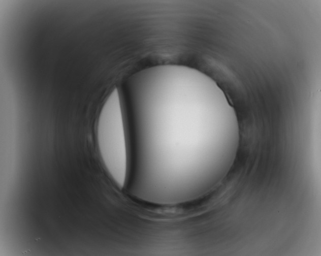 X0000093110225200709260951