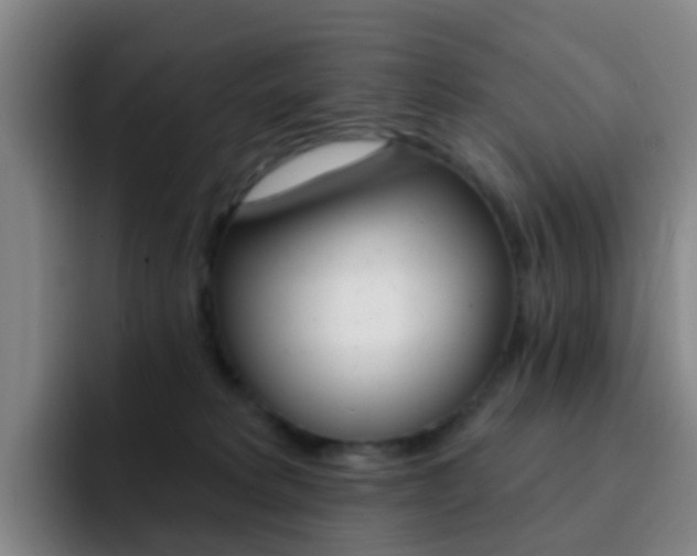 X0000093110229200709260951