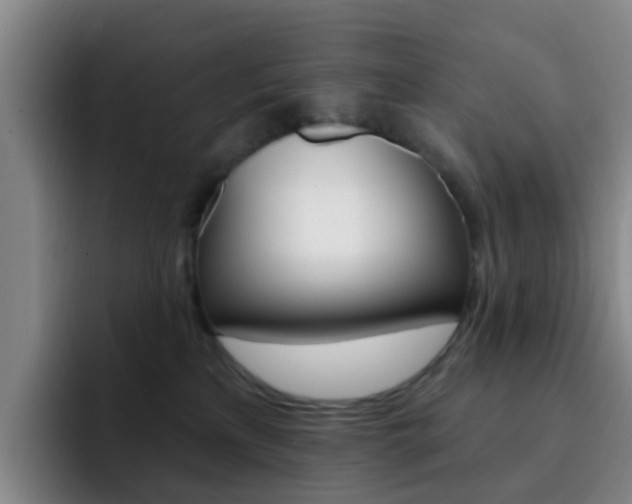 X0000093110233200709260951