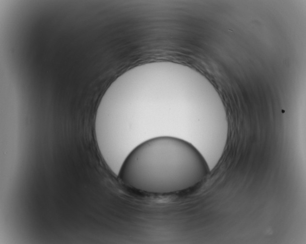 X0000093110235200709260951