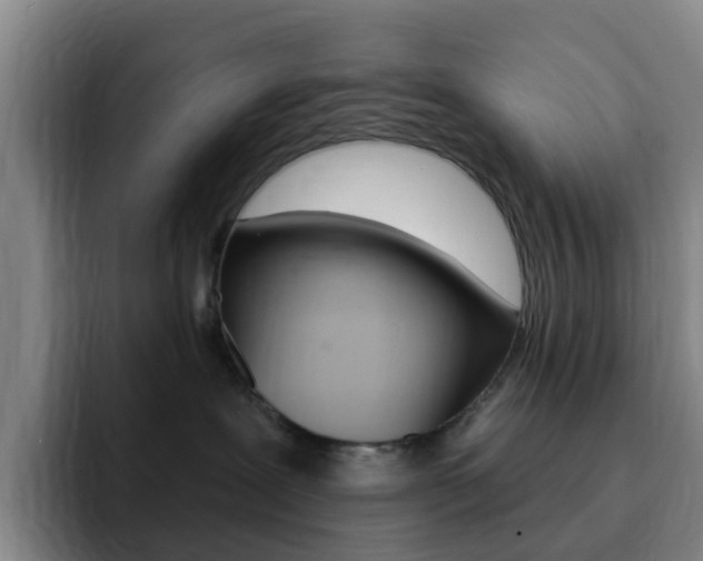 X0000093110239200709260951