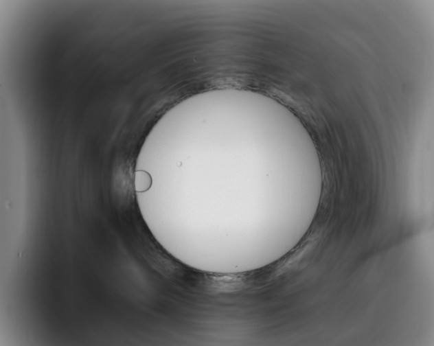 X0000093110240200709260951