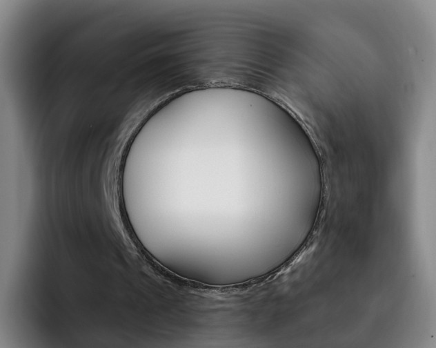 X0000093110241200709260951