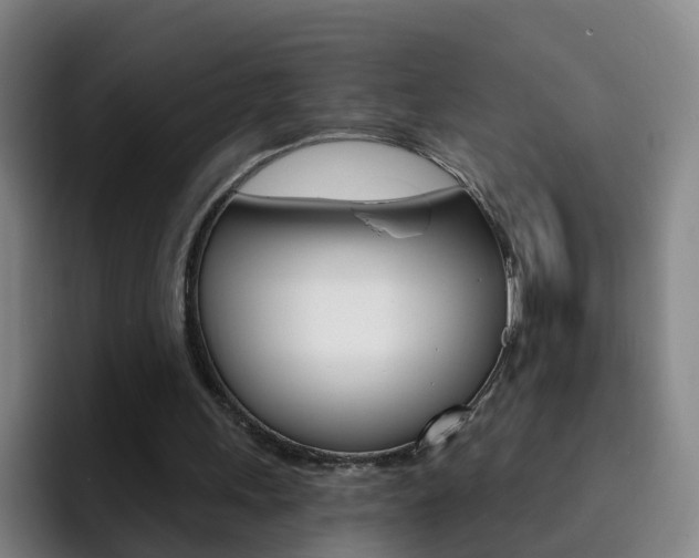 X0000093110243200709260951