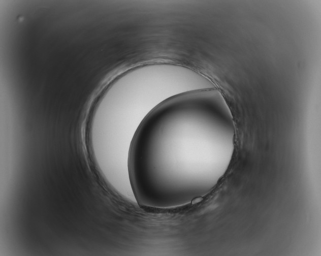 X0000093110244200709260951