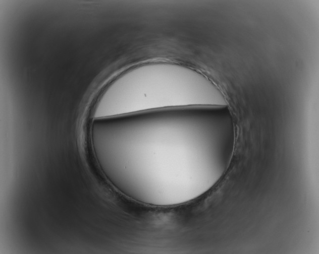 X0000093110247200709260951