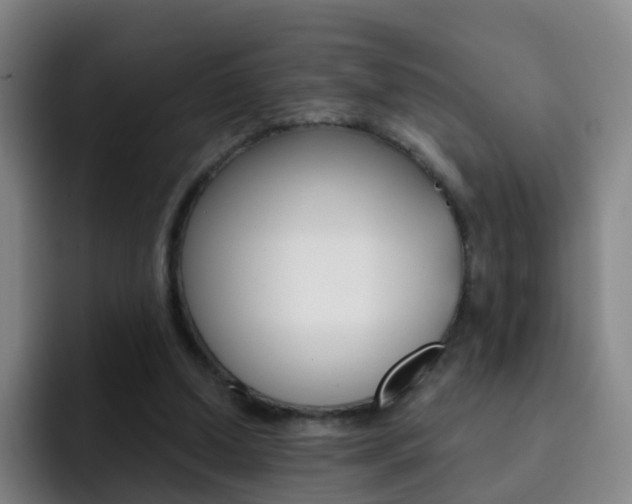 X0000093110250200709260951