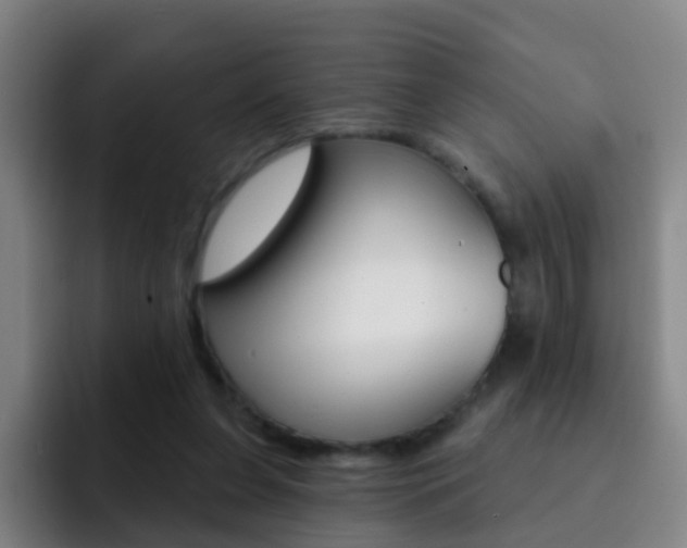 X0000093110255200709260951