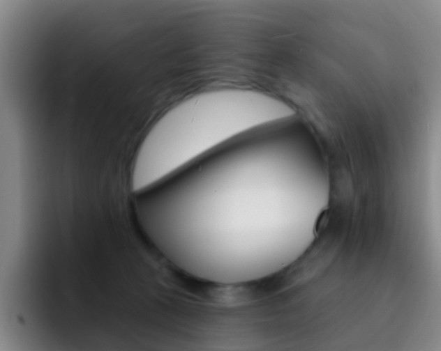 X0000093110273200709260951