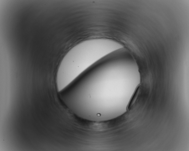 X0000093110277200709260951
