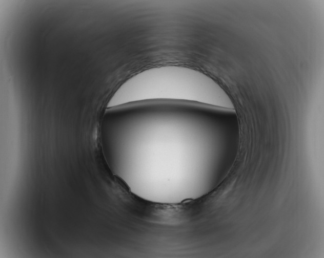 X0000093110288200709260951