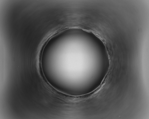 X0000093110293200709260951